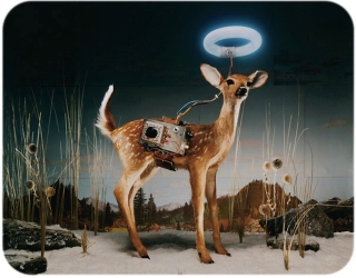 Illustration for article titled Scenes from the Cyborg Forest, where animals make up for their shortcomings with technology